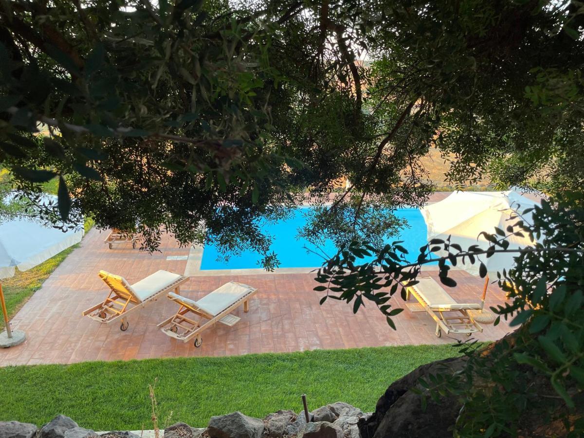 Tergu Villa Infinity מראה חיצוני תמונה
