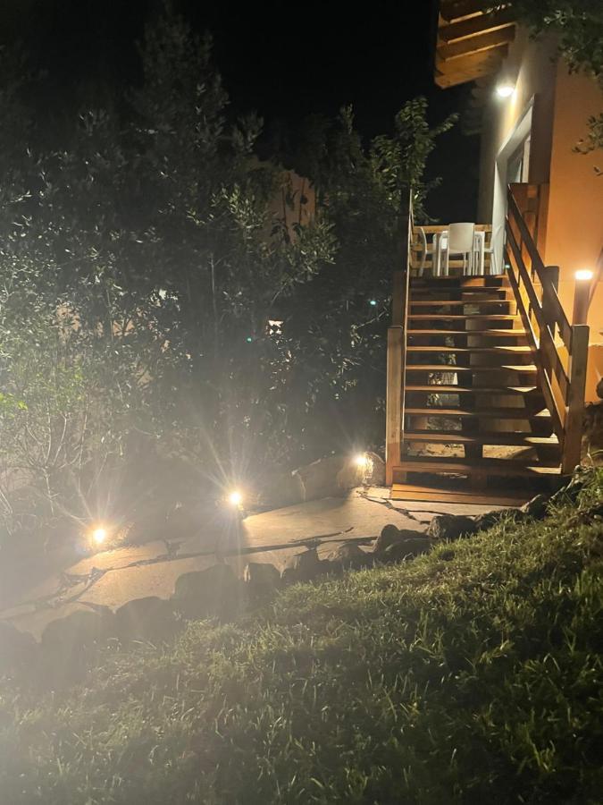 Tergu Villa Infinity מראה חיצוני תמונה
