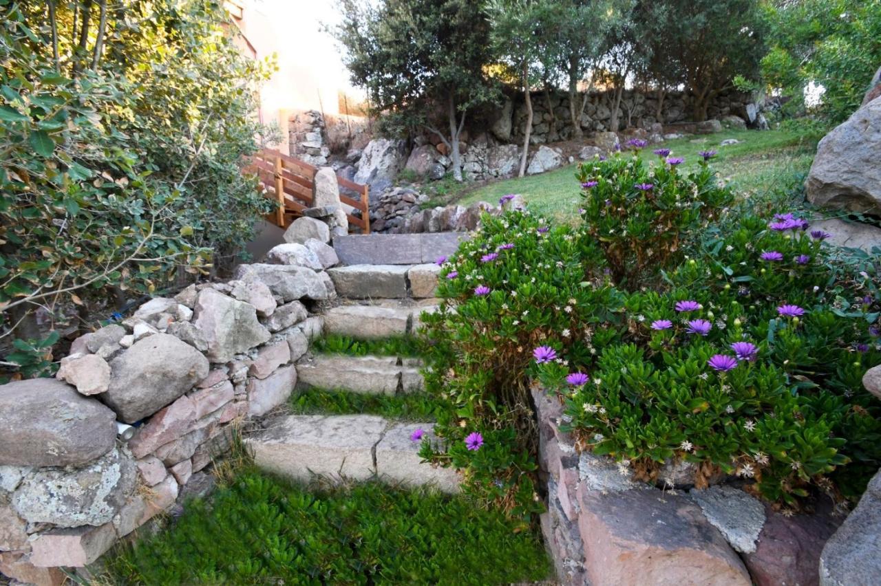 Tergu Villa Infinity מראה חיצוני תמונה